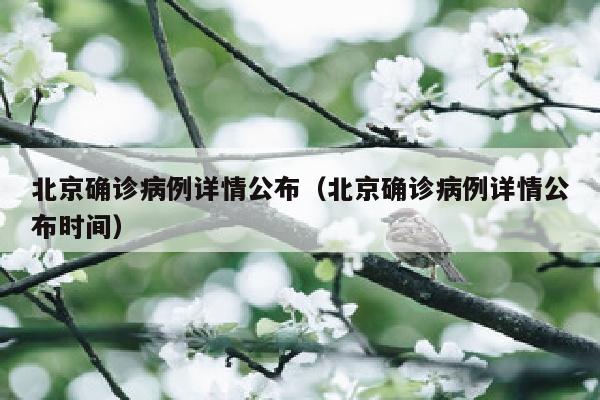 北京确诊病例详情公布(北京确诊病例详情公布时间)