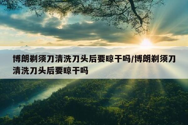 博朗剃须刀清洗刀头后要晾干吗/博朗剃须刀清洗刀头后要晾干吗