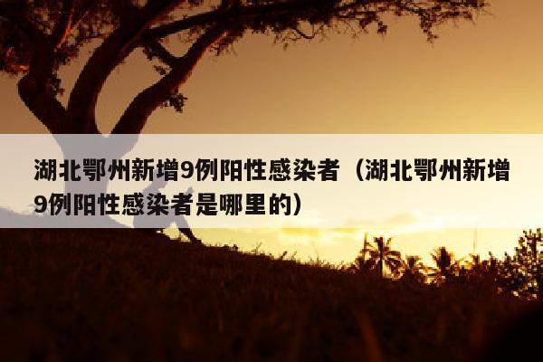 湖北鄂州新增9例阳性感染者（湖北鄂州新增9例阳性感染者是哪里的）