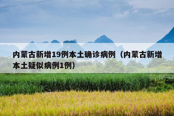 内蒙古新增19例本土确诊病例（内蒙古新增本土疑似病例1例）