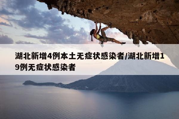 湖北新增4例本土无症状感染者/湖北新增19例无症状感染者