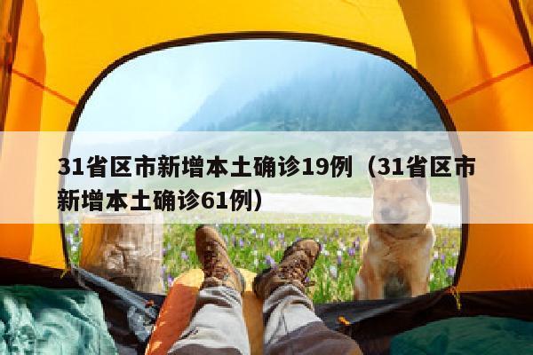 31省区市新增本土确诊19例（31省区市新增本土确诊61例）