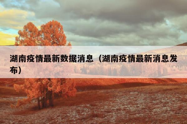 湖南疫情最新数据消息（湖南疫情最新消息发布）