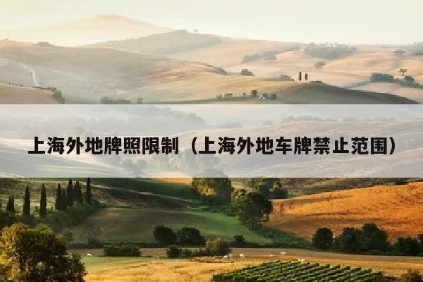 上海外地牌照限制（上海外地车牌禁止范围）