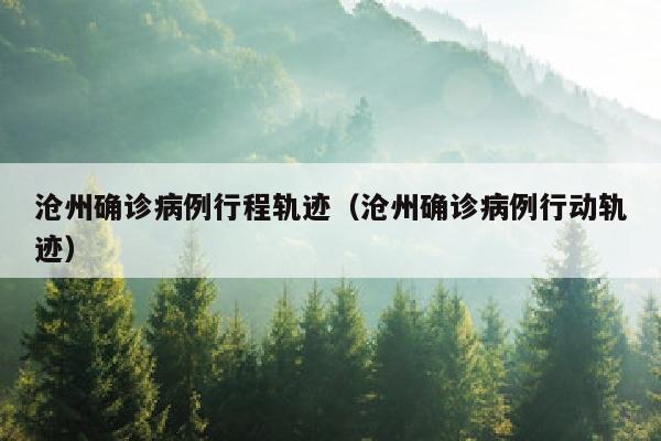 沧州确诊病例行程轨迹(沧州确诊病例行动轨迹)