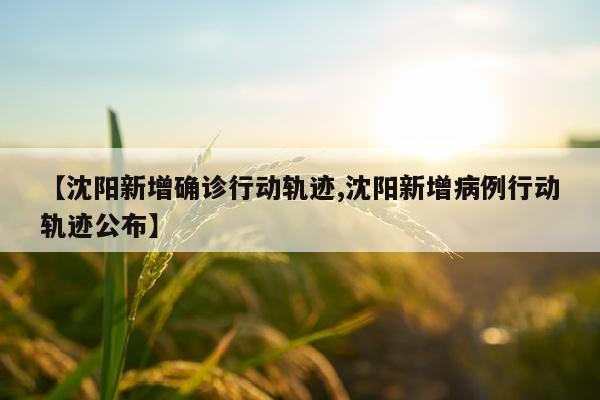 【沈阳新增确诊行动轨迹,沈阳新增病例行动轨迹公布】