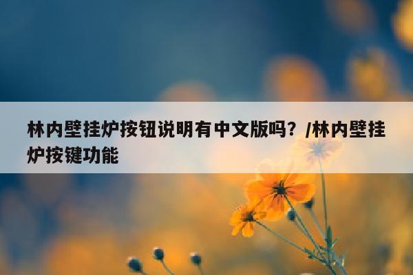 林内壁挂炉按钮说明有中文版吗？/林内壁挂炉按键功能