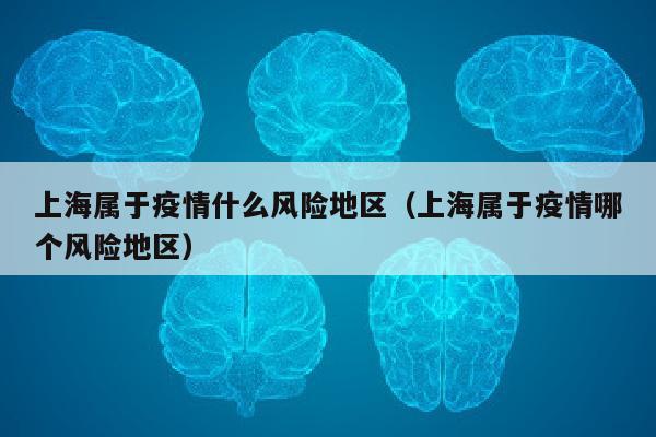 上海属于疫情什么风险地区（上海属于疫情哪个风险地区）