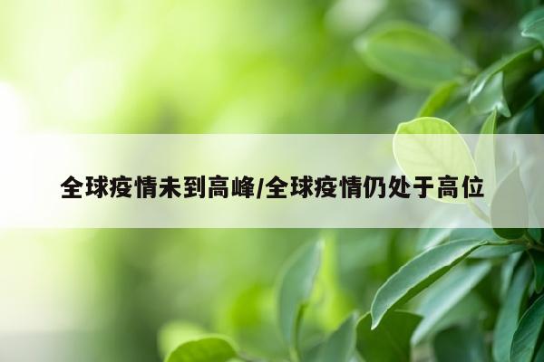 全球疫情未到高峰/全球疫情仍处于高位
