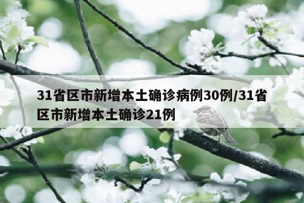 31省区市新增本土确诊病例30例/31省区市新增本土确诊21例