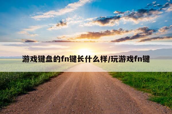 游戏键盘的fn键长什么样/玩游戏fn键