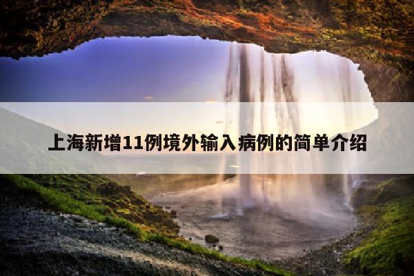 上海新增11例境外输入病例的简单介绍