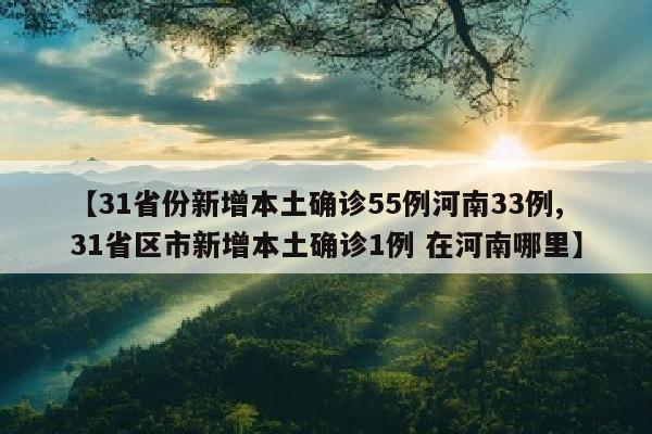 【31省份新增本土确诊55例河南33例,31省区市新增本土确诊1例 在河南哪里】