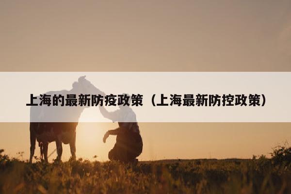 上海的最新防疫政策（上海最新防控政策）
