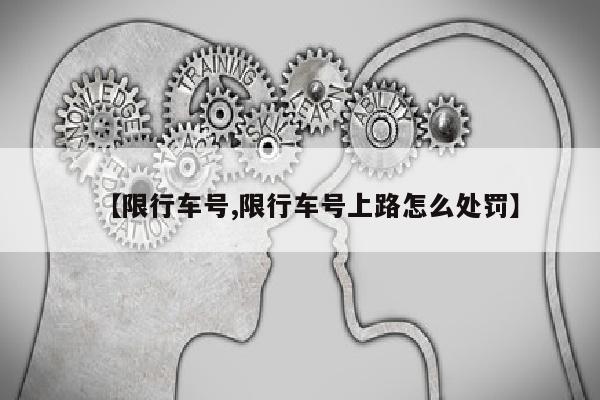 【限行车号,限行车号上路怎么处罚】