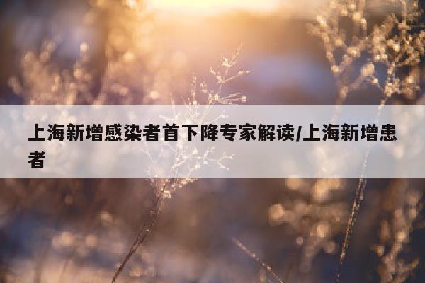 上海新增感染者首下降专家解读/上海新增患者