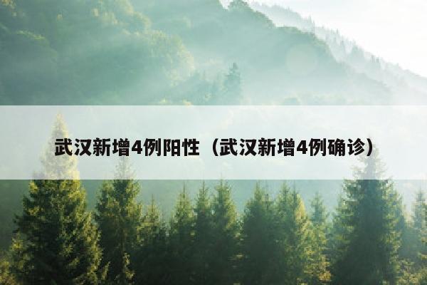 武汉新增4例阳性（武汉新增4例确诊）