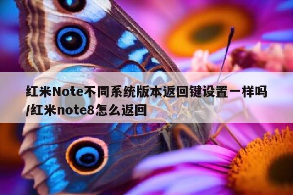 红米Note不同系统版本返回键设置一样吗/红米note8怎么返回