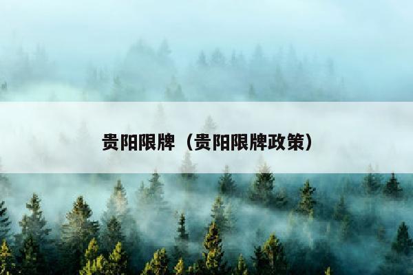 贵阳限牌（贵阳限牌政策）