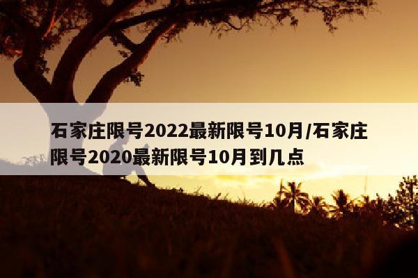 石家庄限号2022最新限号10月/石家庄限号2020最新限号10月到几点