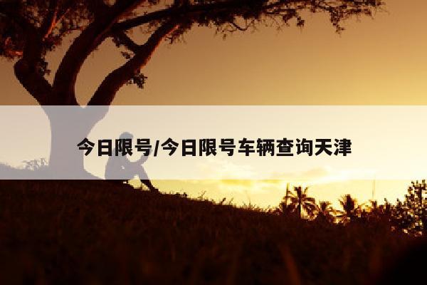 今日限号/今日限号车辆查询天津