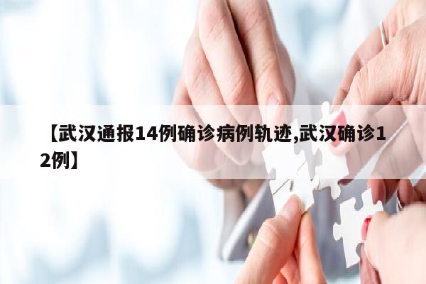 【武汉通报14例确诊病例轨迹,武汉确诊12例】