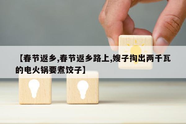 【春节返乡,春节返乡路上,嫂子掏出两千瓦的电火锅要煮饺子】