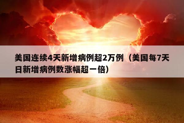 美国连续4天新增病例超2万例（美国每7天日新增病例数涨幅超一倍）