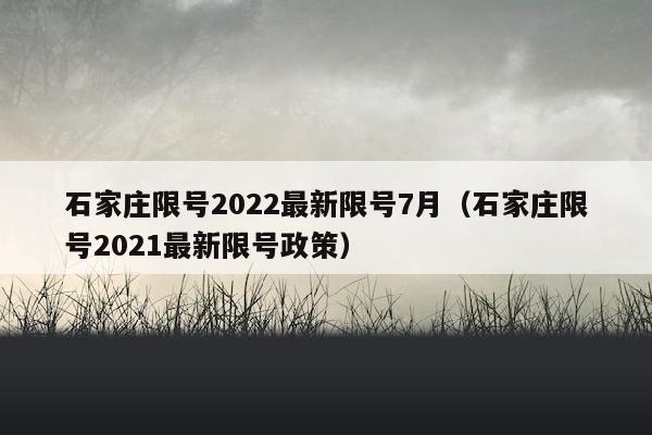 石家庄限号2022最新限号7月（石家庄限号2021最新限号政策）