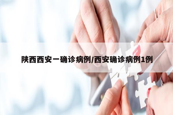 陕西西安一确诊病例/西安确诊病例1例