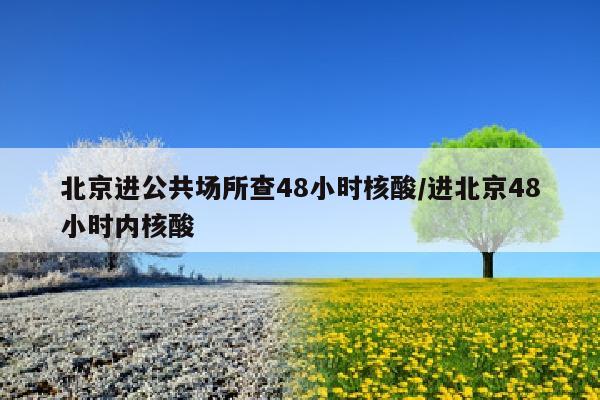 北京进公共场所查48小时核酸/进北京48小时内核酸