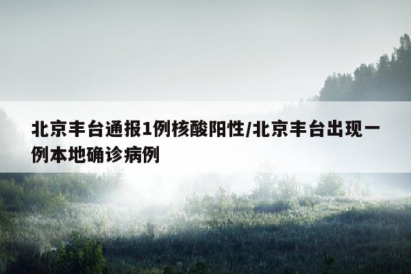 北京丰台通报1例核酸阳性/北京丰台出现一例本地确诊病例