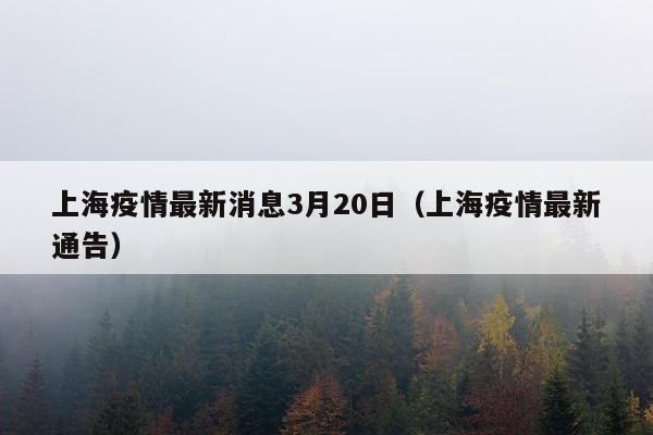 上海疫情最新消息3月20日（上海疫情最新通告）