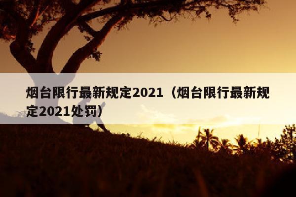 烟台限行最新规定2021（烟台限行最新规定2021处罚）