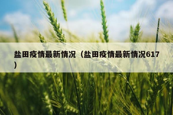 盐田疫情最新情况（盐田疫情最新情况617）