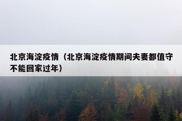 北京海淀疫情（北京海淀疫情期间夫妻都值守不能回家过年）