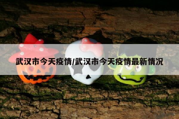 武汉市今天疫情/武汉市今天疫情最新情况