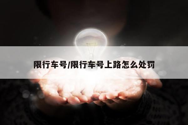 限行车号/限行车号上路怎么处罚
