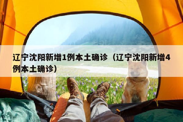 辽宁沈阳新增1例本土确诊（辽宁沈阳新增4例本土确诊）
