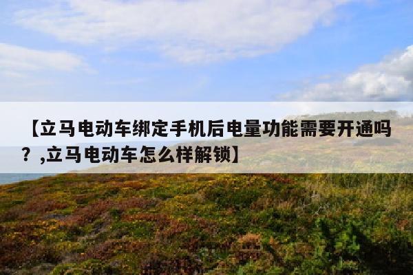 【立马电动车绑定手机后电量功能需要开通吗？,立马电动车怎么样解锁】