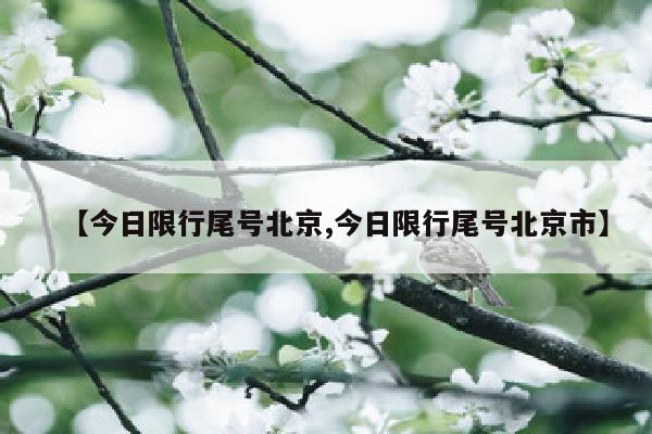 【今日限行尾号北京,今日限行尾号北京市】