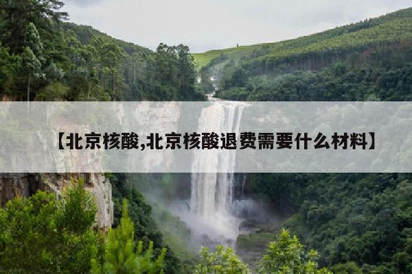 【北京核酸,北京核酸退费需要什么材料】