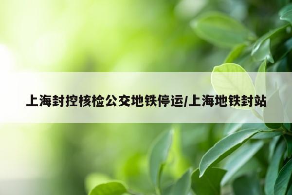 上海封控核检公交地铁停运/上海地铁封站