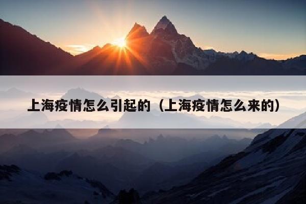 上海疫情怎么引起的（上海疫情怎么来的）