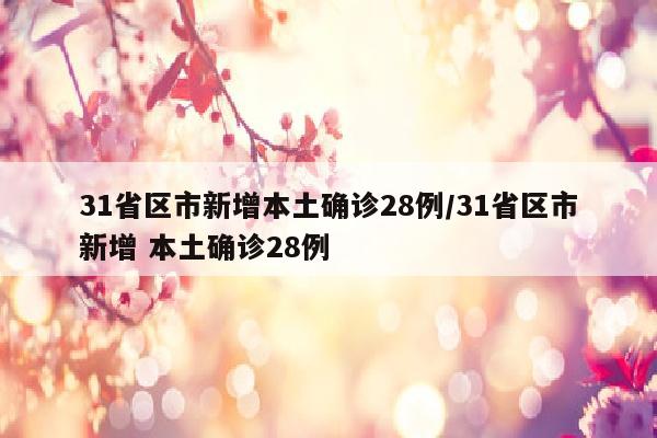 31省区市新增本土确诊28例/31省区市新增 本土确诊28例