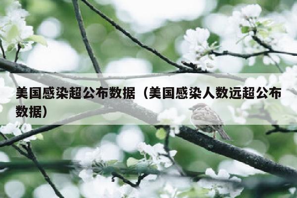 美国感染超公布数据（美国感染人数远超公布数据）