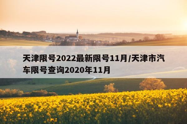 天津限号2022最新限号11月/天津市汽车限号查询2020年11月