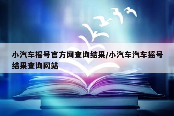 小汽车摇号官方网查询结果/小汽车汽车摇号结果查询网站