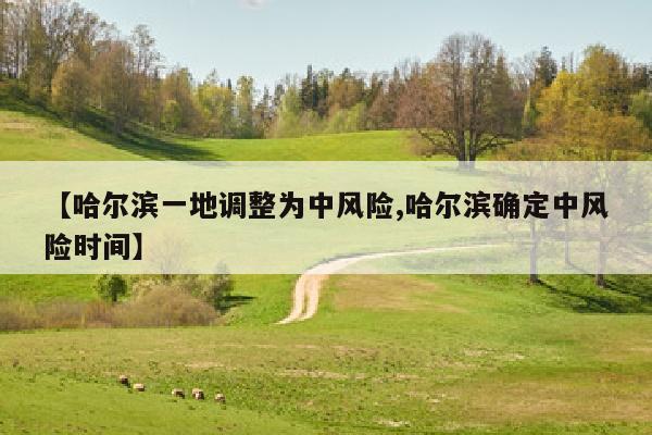 【哈尔滨一地调整为中风险,哈尔滨确定中风险时间】