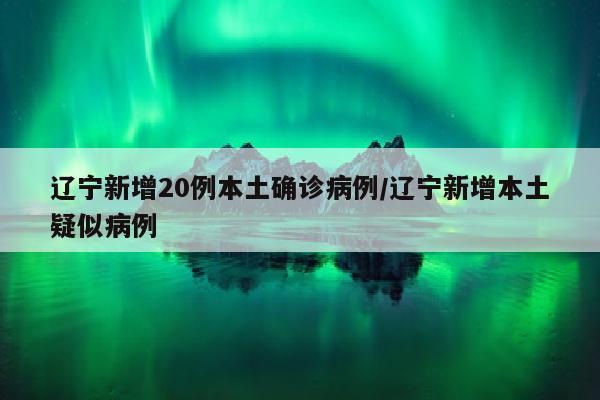 辽宁新增20例本土确诊病例/辽宁新增本土疑似病例